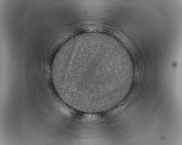 X0000094460469200711291726