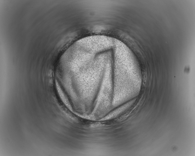 X0000094460470200711291726