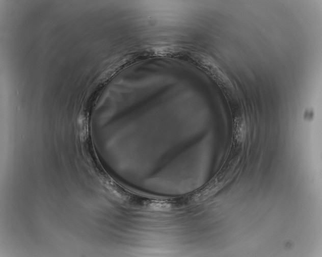 X0000094460471200711291726