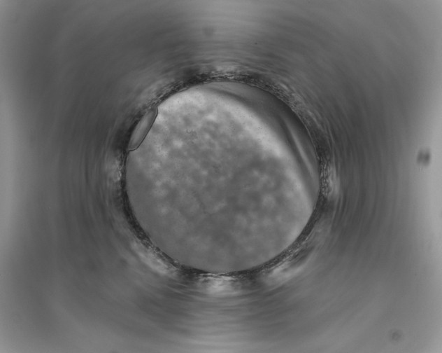 X0000094460472200711291726