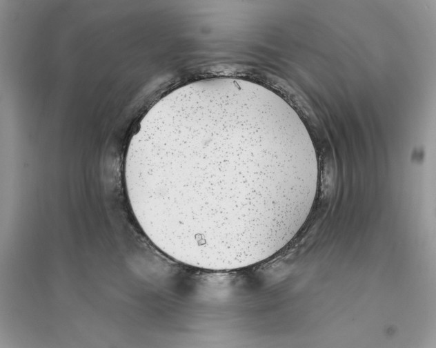 X0000094460473200711291726