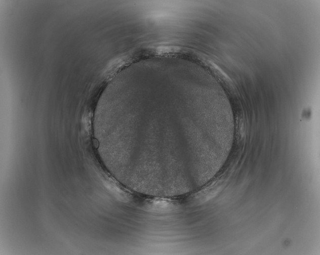 X0000094460475200711291726