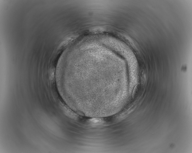 X0000094460477200711291726