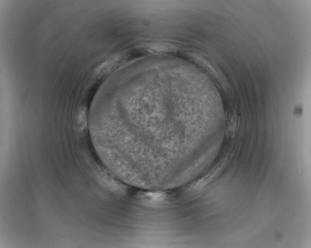 X0000094460478200711291726