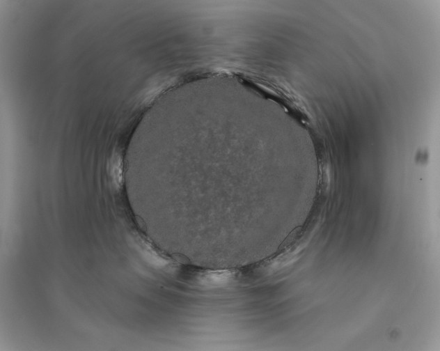 X0000094460479200711291726