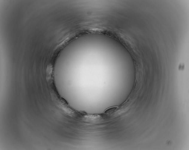 X0000094460480200711291726