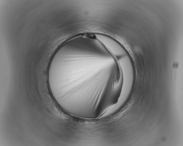 X0000094460481200711291725