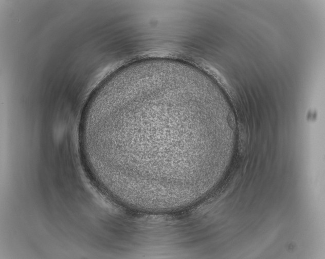 X0000094460482200711291725