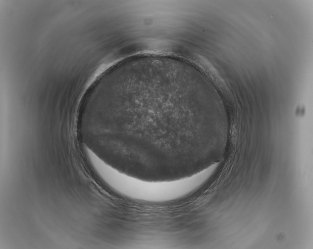 X0000094460484200711291725