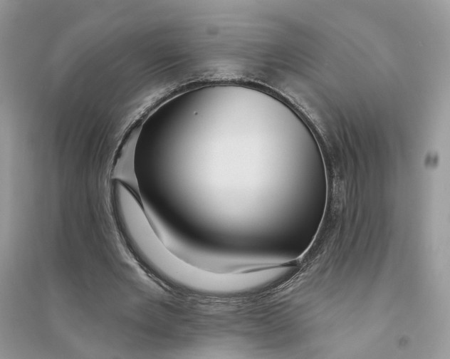 X0000094460485200711291725