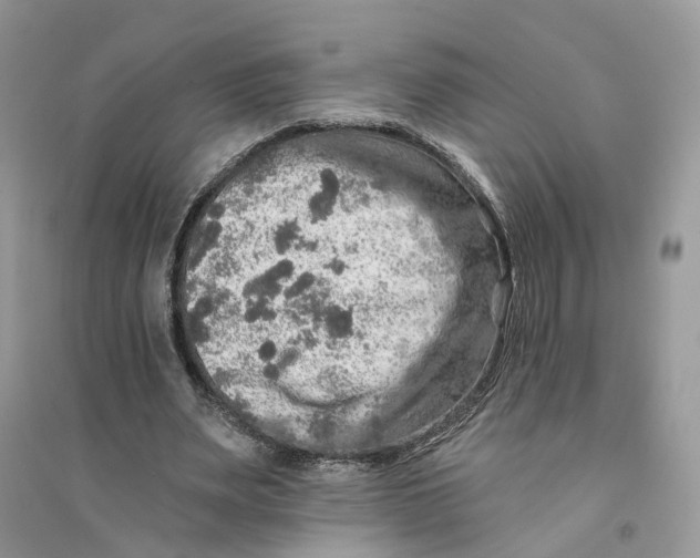 X0000094460487200711291725