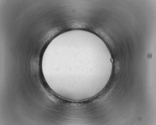 X0000094460490200711291725