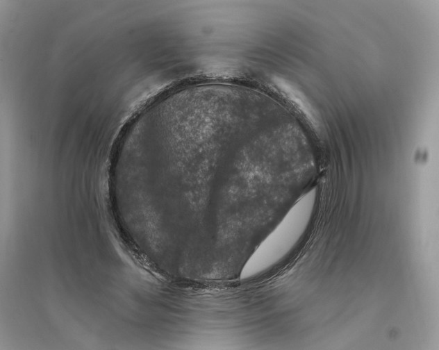 X0000094460492200711291725