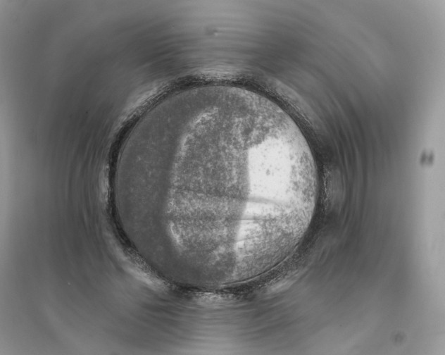 X0000094460494200711291725