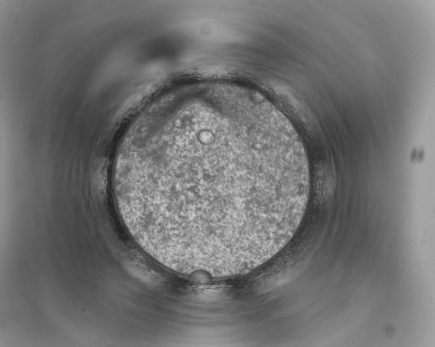 X0000094460495200711291725