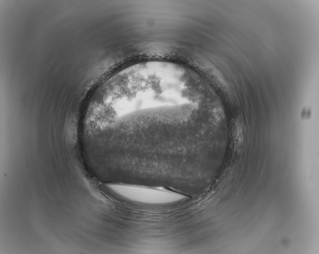 X0000094460496200711291725