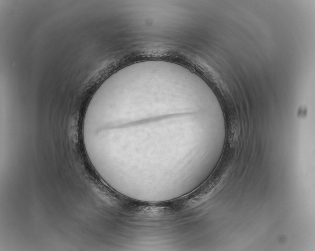 X0000094460497200711291725