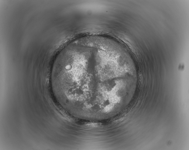 X0000094460499200711291725