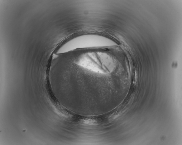 X0000094460500200711291725