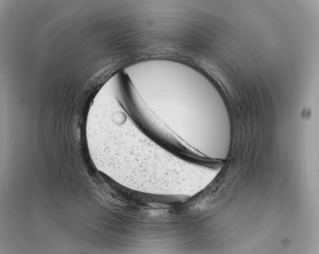 X0000094460501200711291725