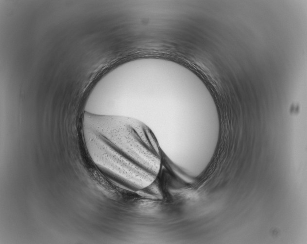 X0000094460504200711291725