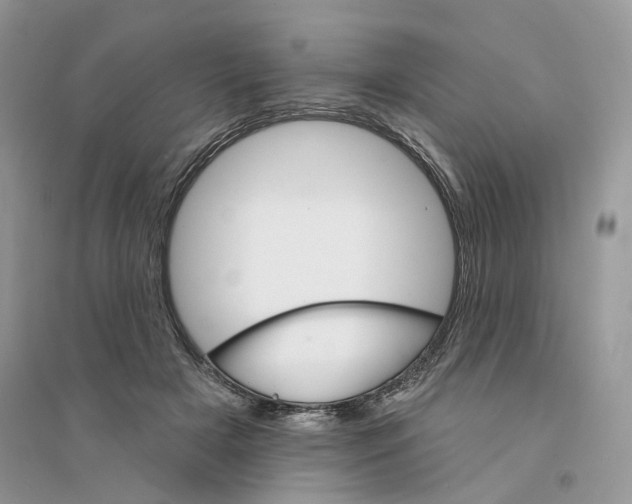 X0000094460505200711291725