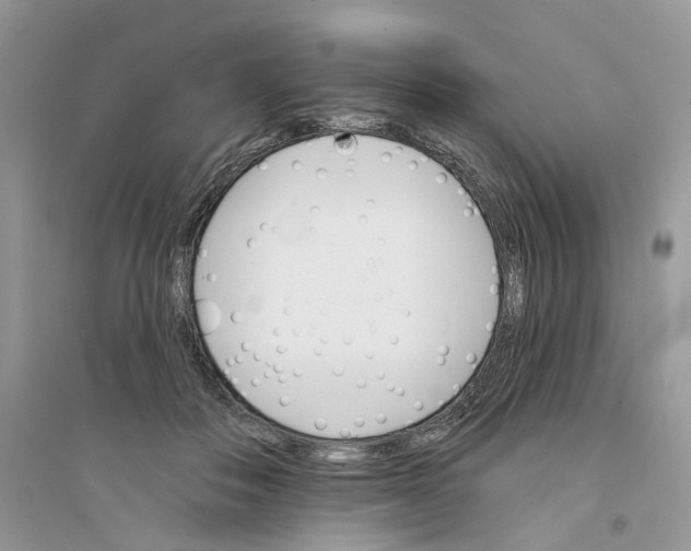 X0000094460506200711291725