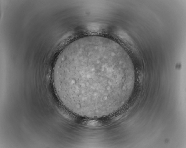 X0000094460507200711291725