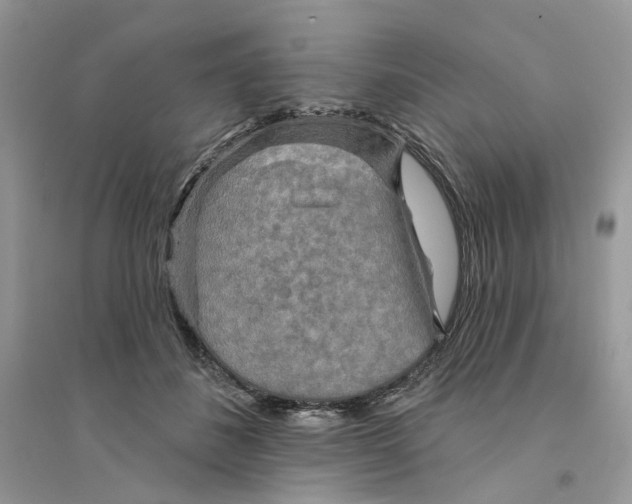 X0000094460508200711291725