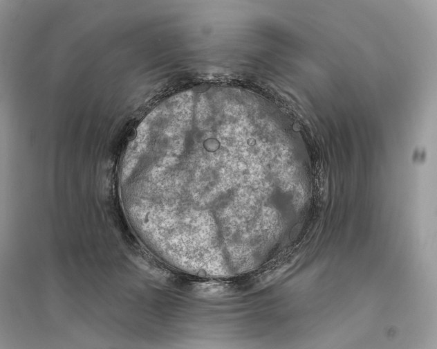 X0000094460511200711291725