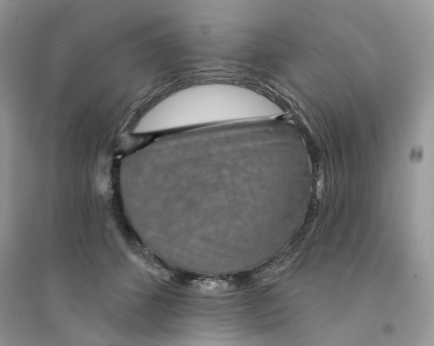 X0000094460512200711291725