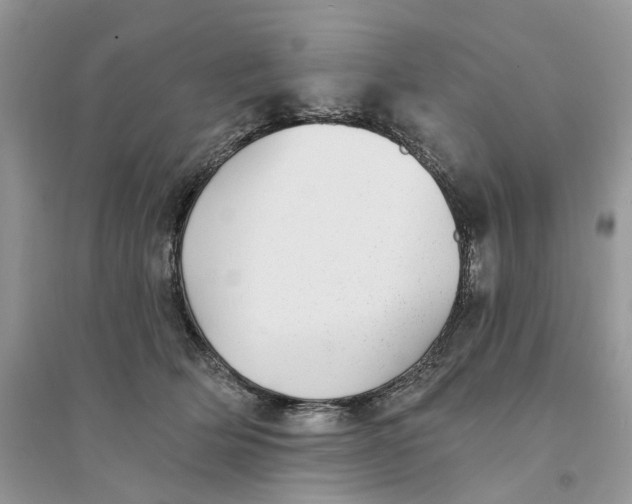 X0000094460514200711291725