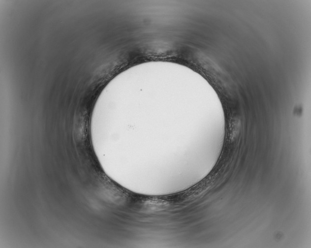 X0000094460515200711291725