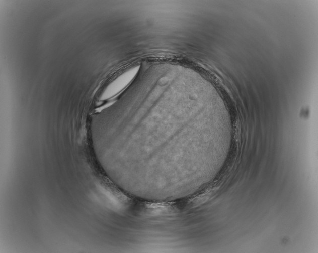 X0000094460516200711291725