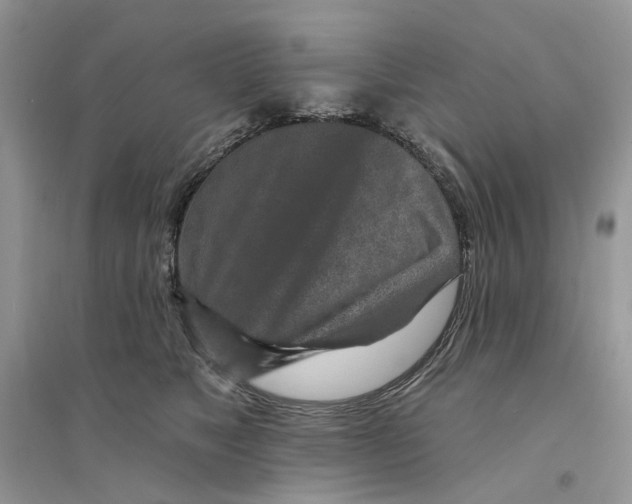 X0000094460517200711291725