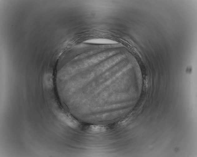 X0000094460520200711291724