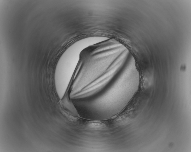 X0000094460521200711291724