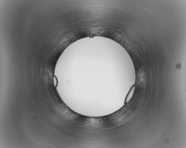 X0000094460522200711291724