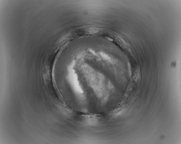 X0000094460524200711291724