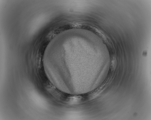 X0000094460525200711291724