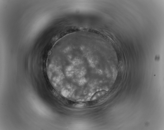 X0000094460527200711291724