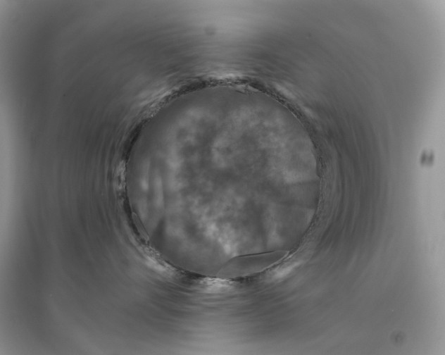 X0000094460528200711291724