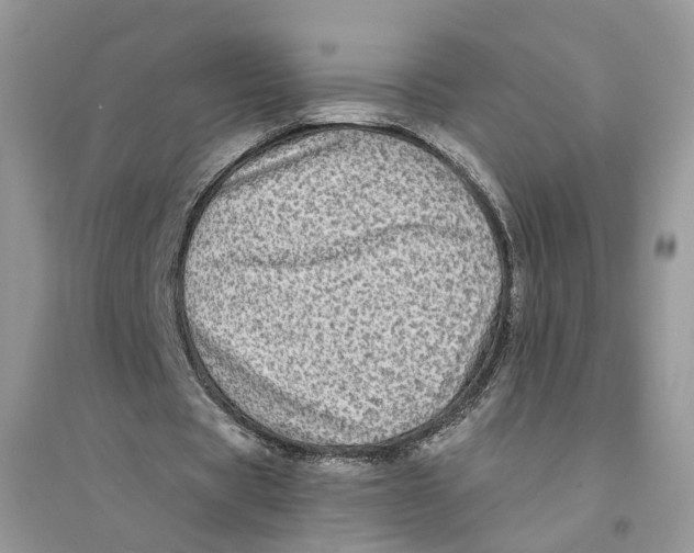 X0000094460529200711291724