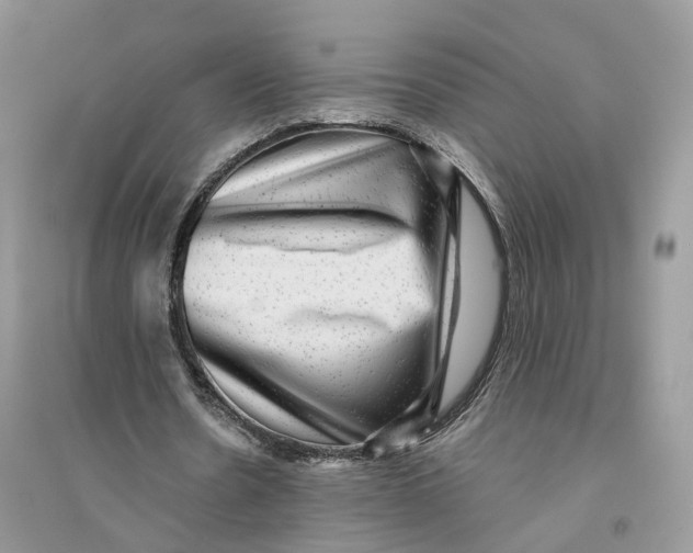 X0000094460530200711291724