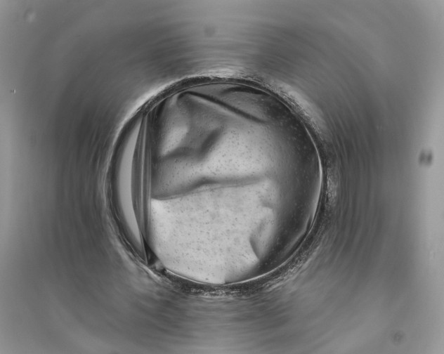 X0000094460532200711291724