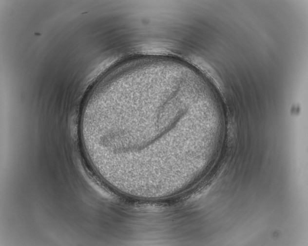 X0000094460533200711291724