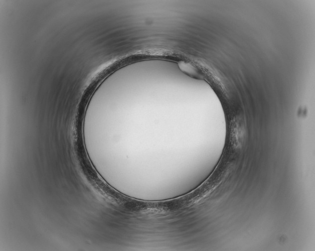 X0000094460536200711291724