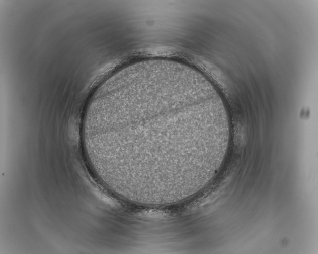 X0000094460537200711291724