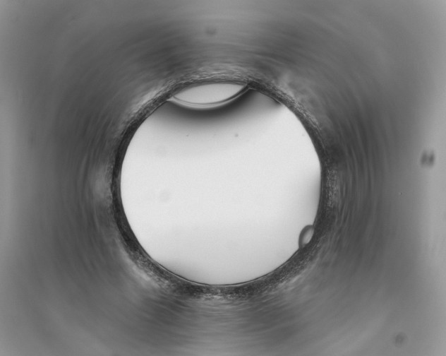 X0000094460538200711291724