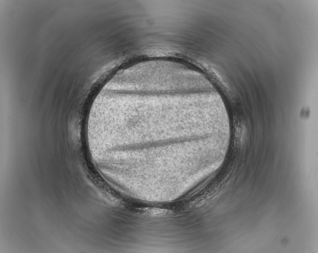 X0000094460539200711291724